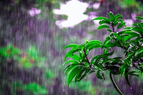 देशका अधिकांश भु–भागमा आज पानी पर्ने