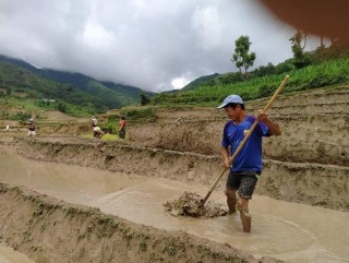 देखिएन धान दिवसको रौनक