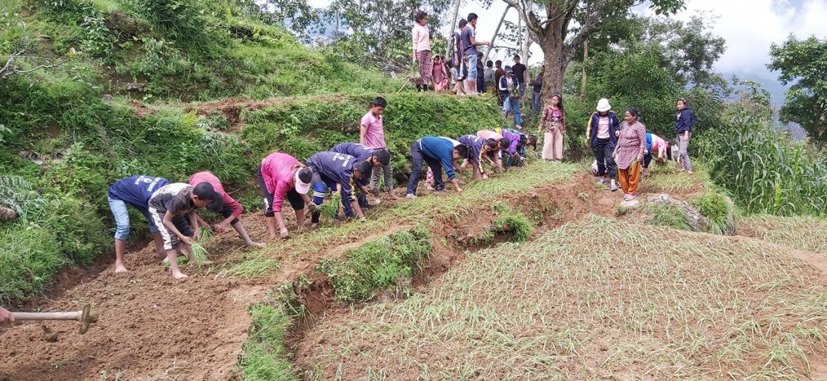 shubhadra-madan foundation in KodoBari lockdown photo.jpg
