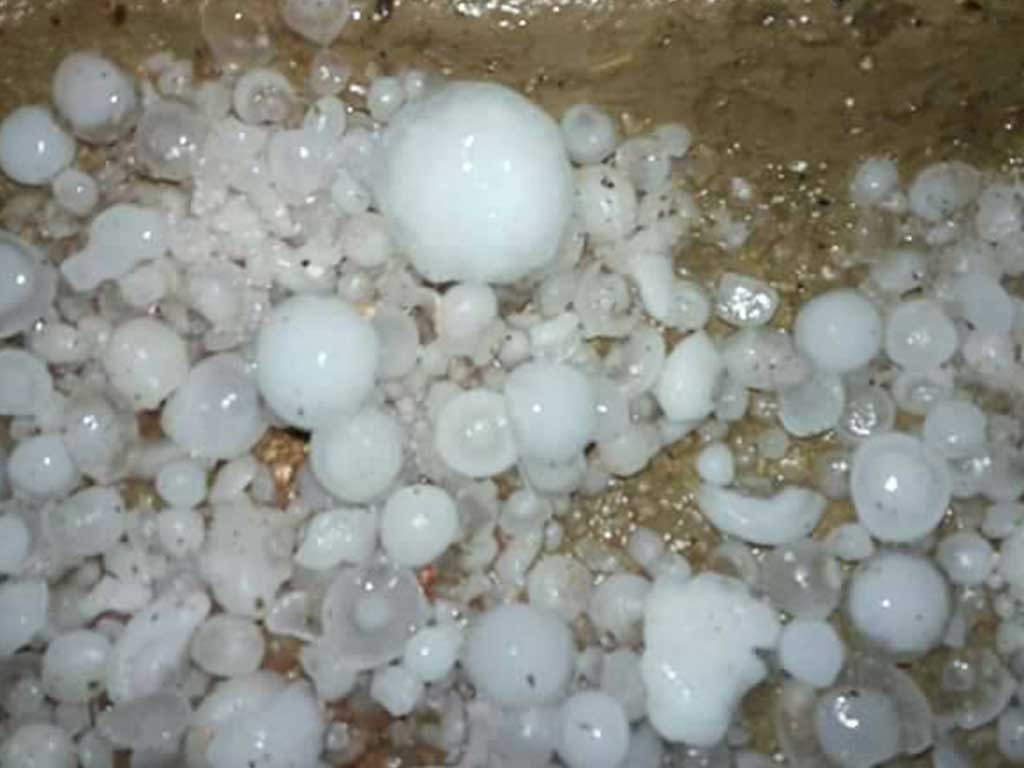असिनापानीका कारण डोल्पा जिल्लाको उत्तरीक्षेत्रका किसानकाे बालीमा ठुलो  क्षेत्ती
