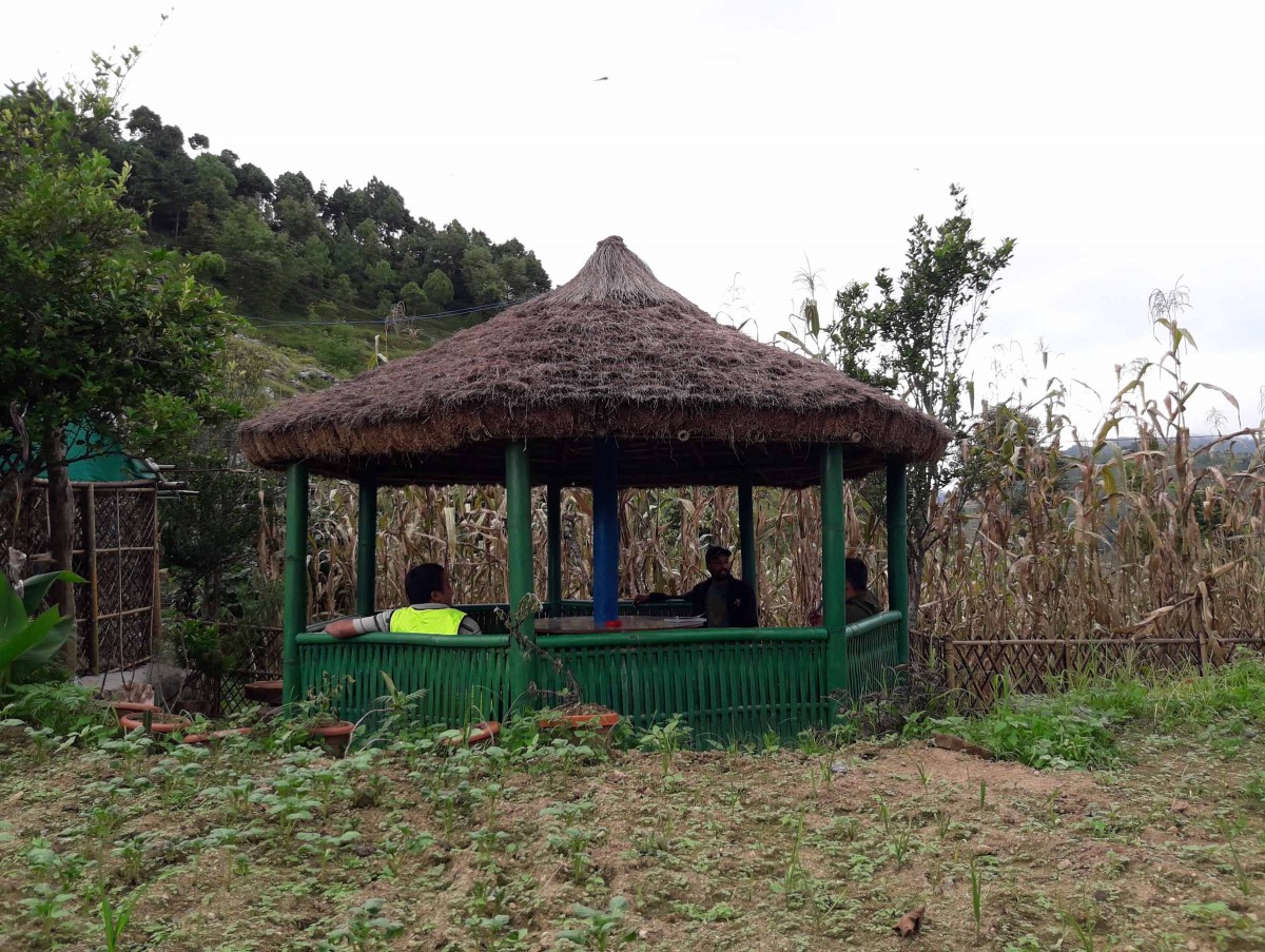 homestay at upper malkhu photo_daman1.jpg