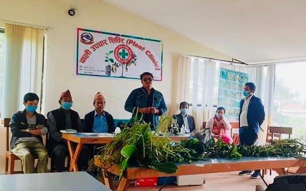 खोटाङको बुईपामा बाली उपचार शिबिर