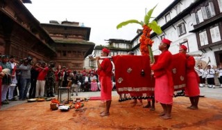 शुभसाइतको प्रतीक फूलपाती भित्र्याइँदै, दसैं चहलपहल सुरु