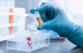 एन्टिबडी परीक्षणका लागि सातवटै प्रदेशमा नमूना संकलन
