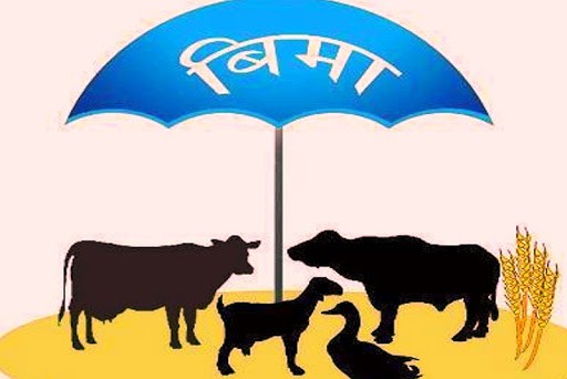 निःशुल्क पशु बिमा कार्यक्रम