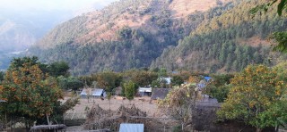 खोटाङ : लगातार तेश्रो वर्ष सुन्तला उत्पादनमा गिरावट