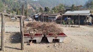 बराहपोखरीमा ल्याइएको डुंगामा झ्याँसको थुप्रो