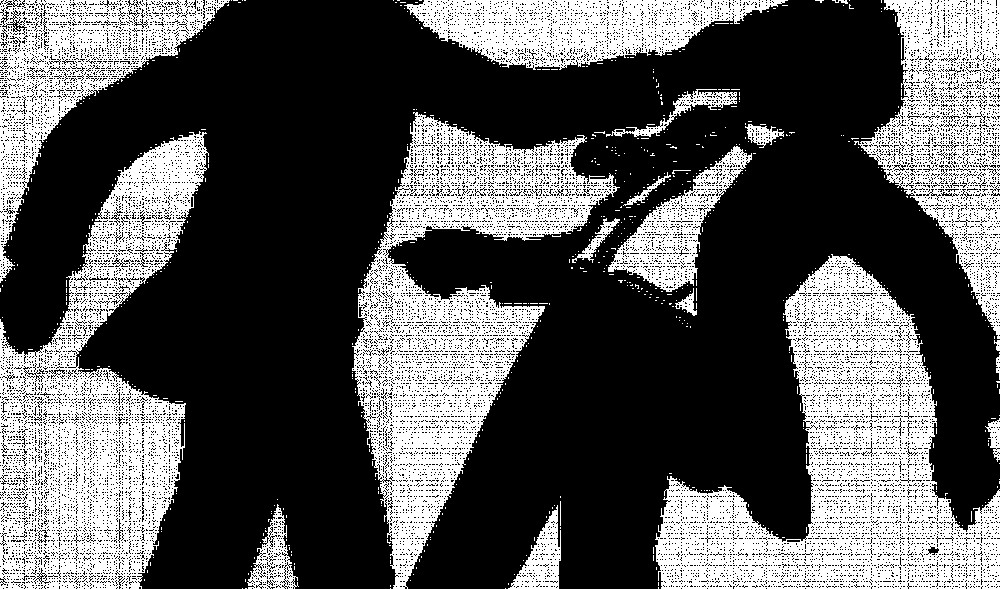 राष्ट्रपति रनिङ शिल्डमा दौडिरहेका छात्रमाथि कुटपिट