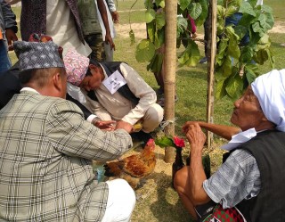 सुनसान बन्यो किरात समुदायको साकेला उभौली