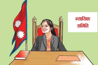 न्यायीक समितिमा ३३६ वटा निवेदन, २६७ वटा निरुपण