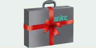 देशभरका स्थानीयले तहले आज आगामी आ.व.को बजेट सार्वजनिक गर्दै
