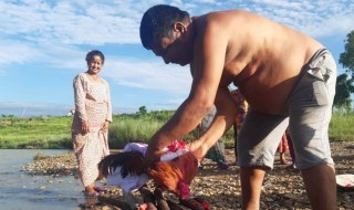 कुखुराको भाले मरेपछि हिन्दु पराम्परा अनुशार दाहसंस्कार !