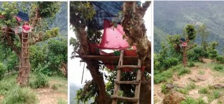 रुखमा डेरा बनाएर अनलाईन कक्षा लिन्छन् धनकुमार