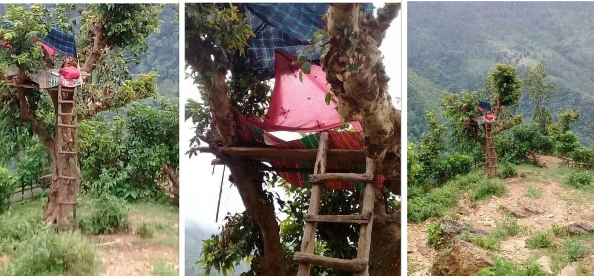 रुखमा डेरा बनाएर अनलाईन कक्षा लिन्छन् धनकुमार