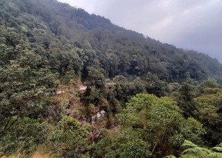 पत्रकार किसन राईको लडेर मृत्यु भएको विषयमा प्रशासनदेखि दलको चासो