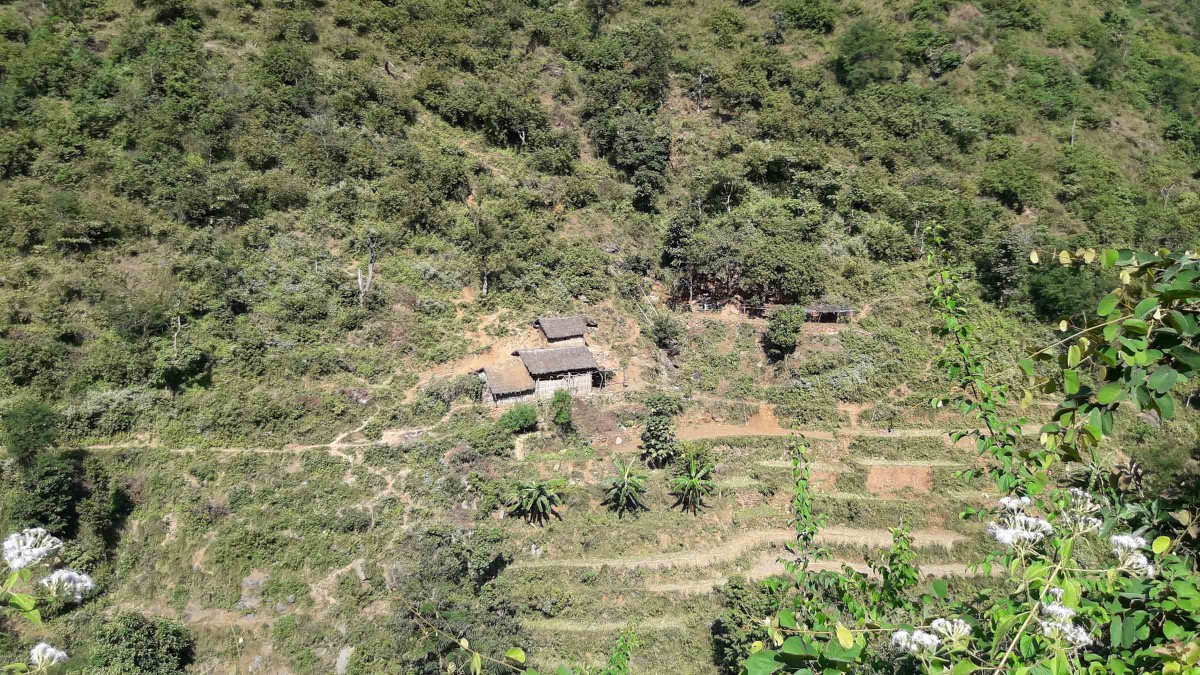 goat farm at phirku photo_khotang.jpg