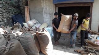 खोटाङमा अलैंची उत्पादनमा वृद्धि