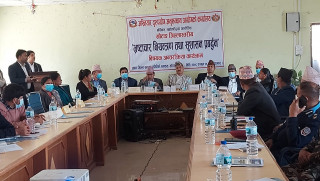 खोटाङका स्थानीय तहका वेथिति विरुद्ध अख्तियारमा २४ उजुरी