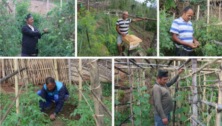 सिंगो टोल बैदेसिक रोजगारमा संलग्न