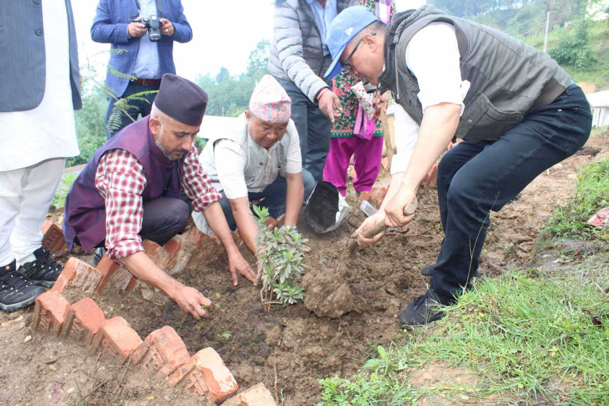 वन उपभोक्ता महासंघको स्थापना दिवसमा बृक्षारोपण
