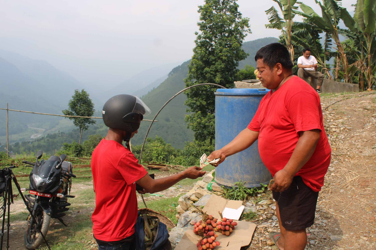 8. litchi at khotang.JPG