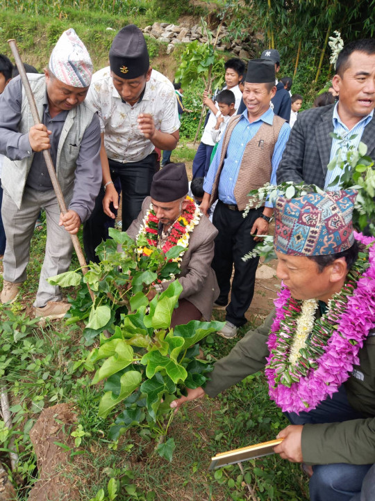 विद्यालयमा बोटबिरुवाकै घेराबारा हाल्ने अभ्यासको सुरुवात