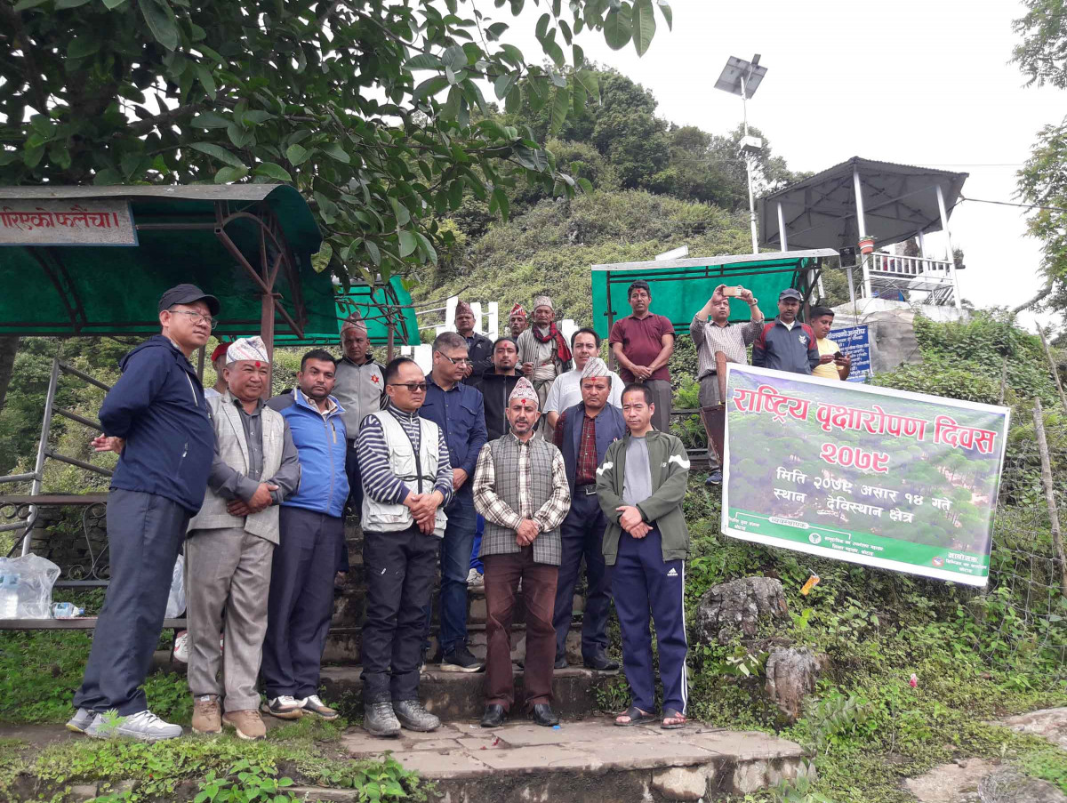 plantation at majhuwagadhi_khotang.jpg