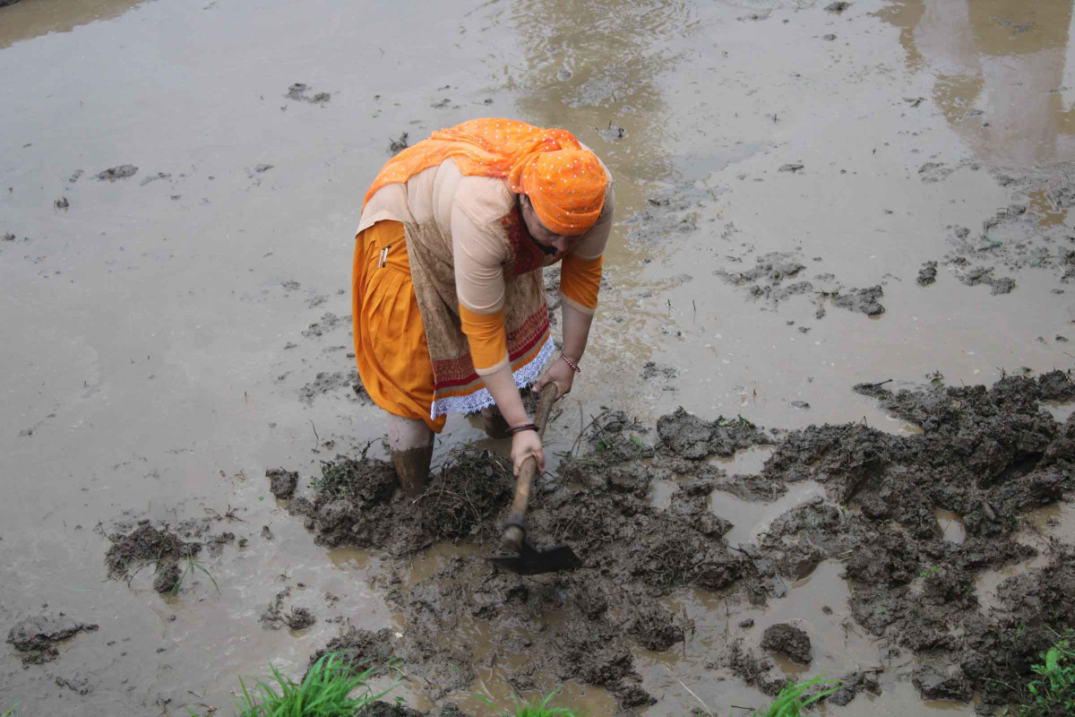 2. paddy day_khotang.JPG