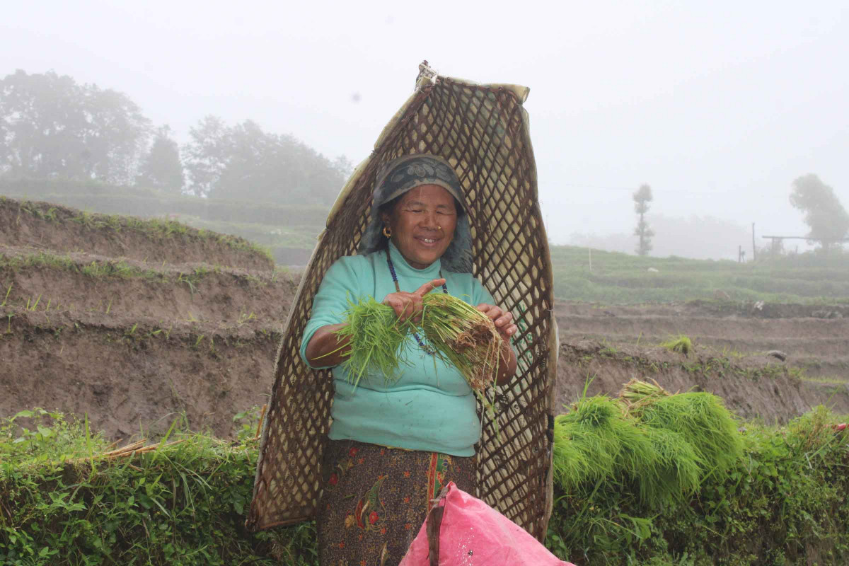 9. paddy day_khotang.JPG