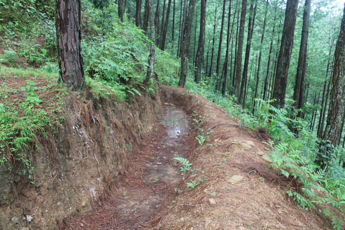 gg.jpg