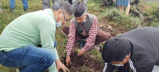 सिद्धथान सामुदायीक वनमा बृक्षारोपण