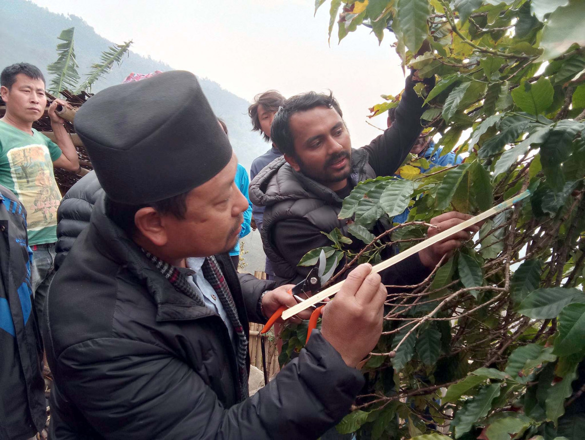 ‘बाख्रा पालन, राँगा पालन, कुखुरा पालनमा गरिएका लगानीमा खोर मात्र बाँकी छ’