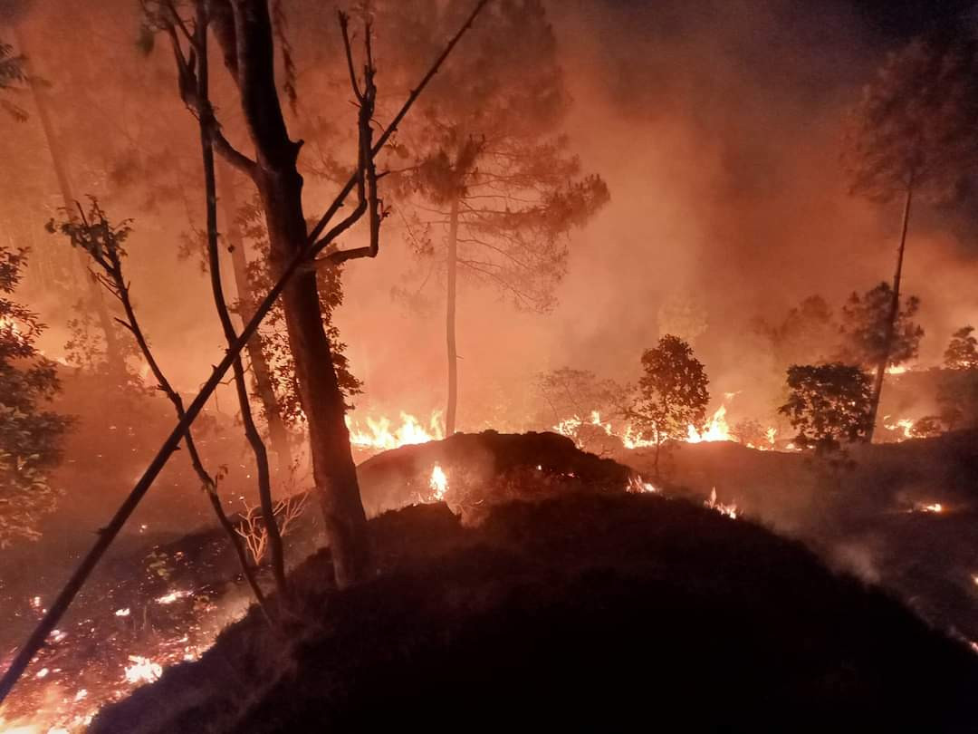 fire at dambarkhusiwalaia (2).jpeg