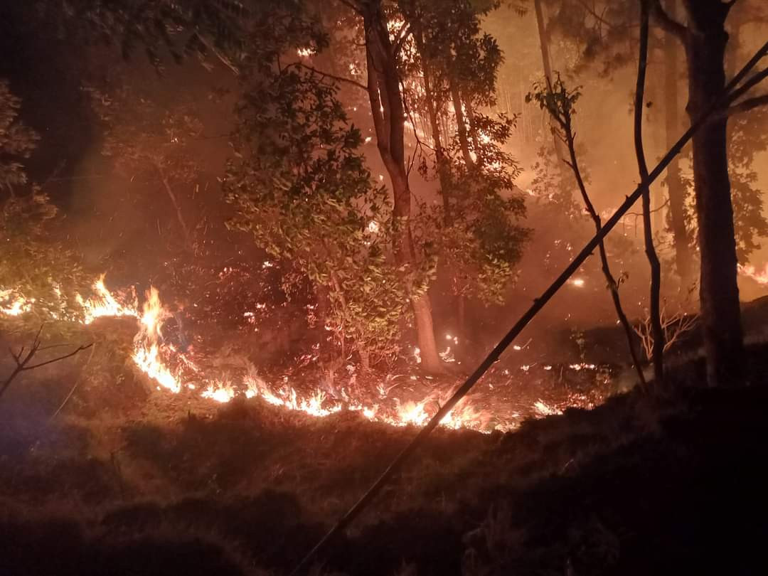 fire at dambarkhusiwalaia (3).jpeg