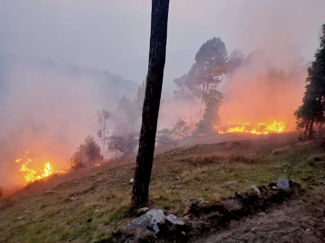 fire at dambarkhusiwalaia (5).jpeg
