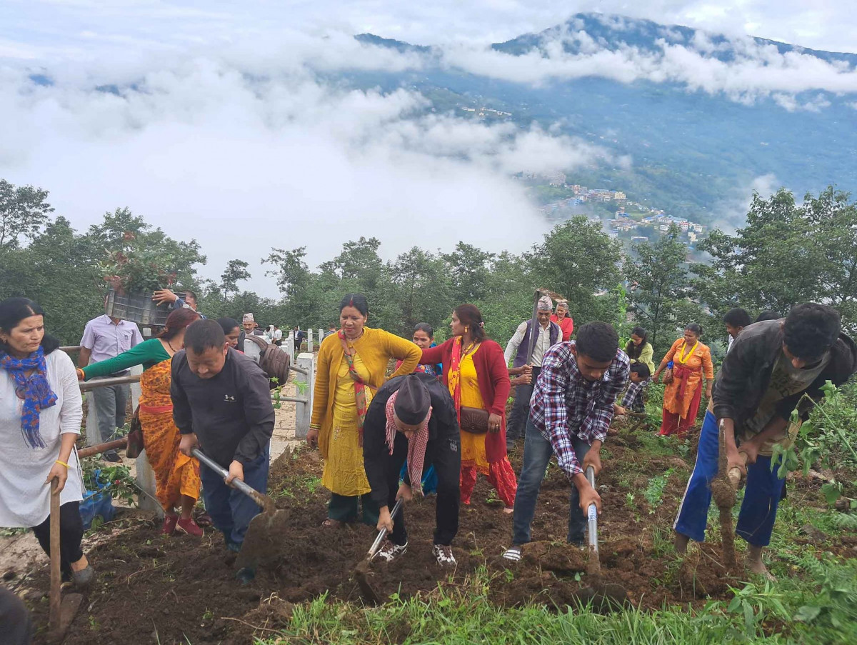 ‘फूलको पहाड’ बनाउन मझुवागढीमा हजारौ फूलका विरुवा रोपिए