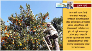 पूर्वी पहाडका किसानको समृद्धिको आधार बन्दैछ मध्यपहाडी राजमार्ग
