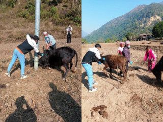 बाराहापोखरी र हलेसी तुवाचुङमा खोरेत रोगको संक्रमण