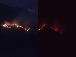 डढेलोले दुई घर र चार गोठ जले