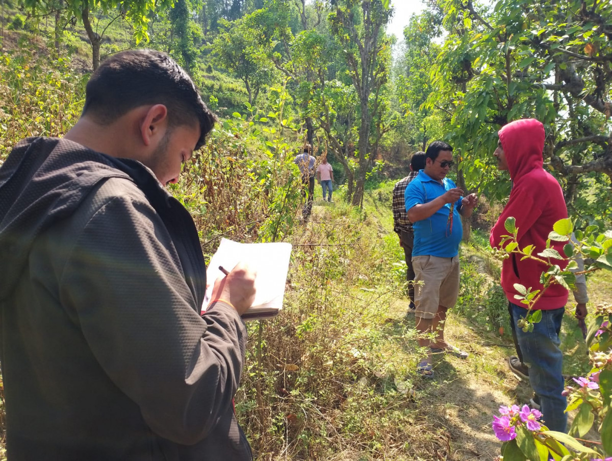 buwakhola lifting at jantedhunga (survey)2.jpeg
