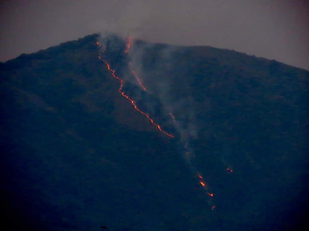 डढेलोका कारण खोटाङमा चार घर खरानी