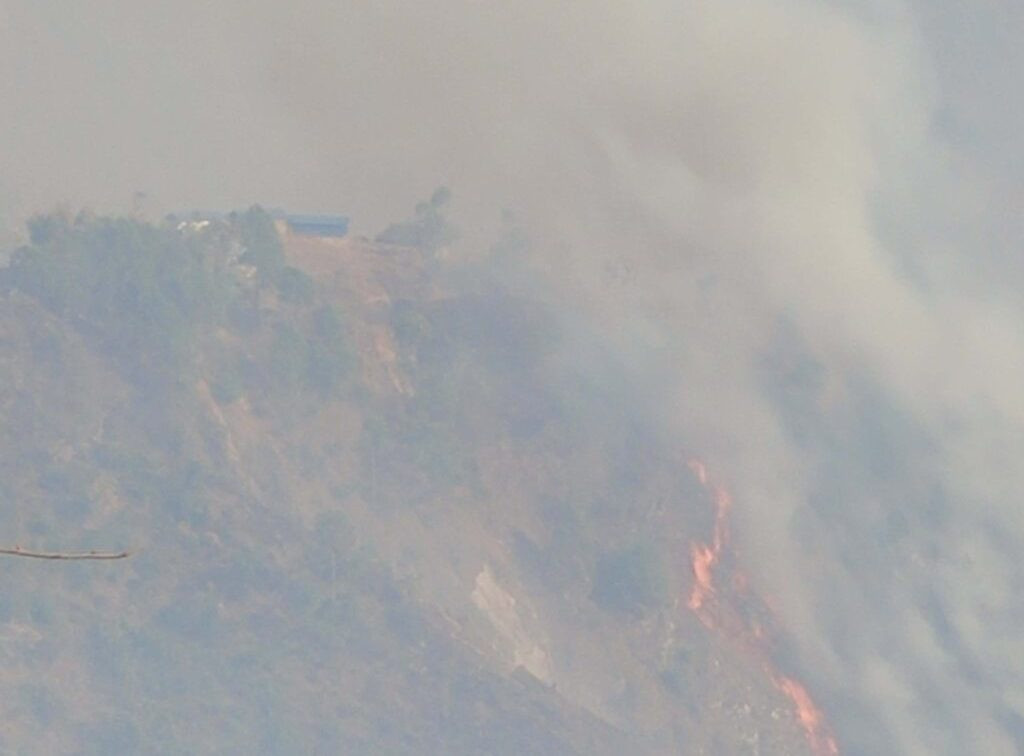 सामुदायिक वनको डढेलोले गाउँ छिर्दा विद्यालय र सात घर जलेर नष्ट