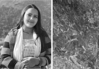 रेश्मिका हत्या प्रकरणमा एक किशोर पक्राउ