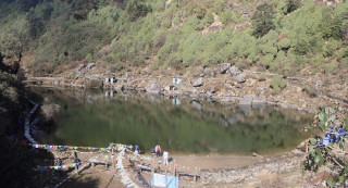 साल्पा–सिलिचुङमा २५०० मुन्दुमी बिरुवा रोपियो